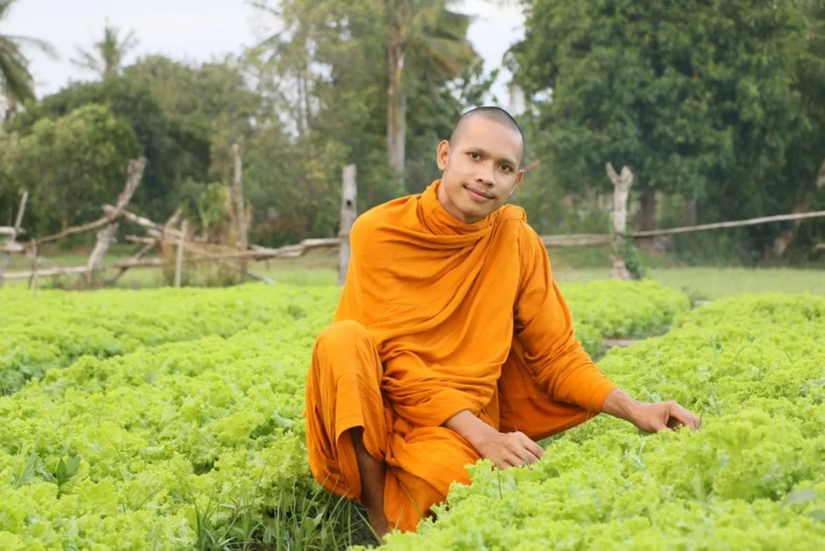 Karmapa Buddhism